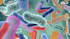 BGI Genomics study shows Gut Bacteria Boost Metabolism and Bone Health