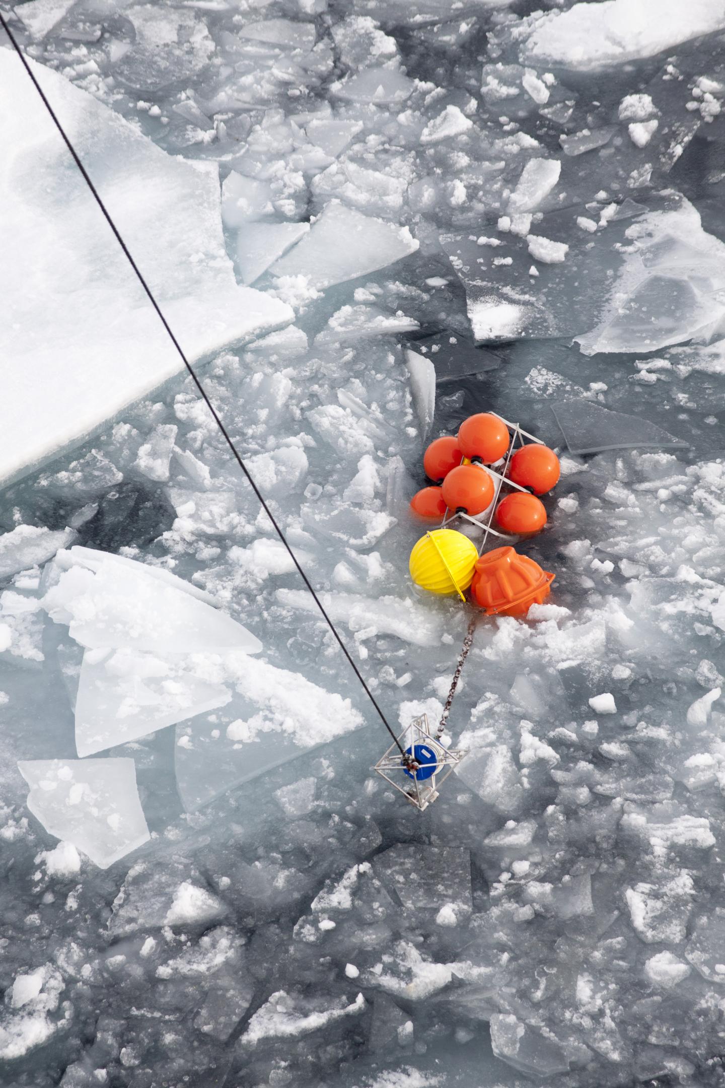 The Arctic Ocean is Becoming More Like the Atlantic (1 of 8)