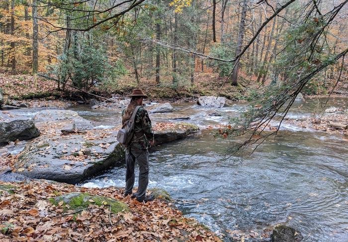 Microplastics In Fish WVU