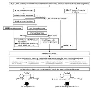 BGI Genomics High Efficiency of Severe Thalassemia Prevention with HTS based Carrier Screening