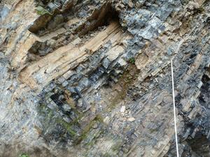 Row of embedded “cherts” in an outcrop in Southeast China.