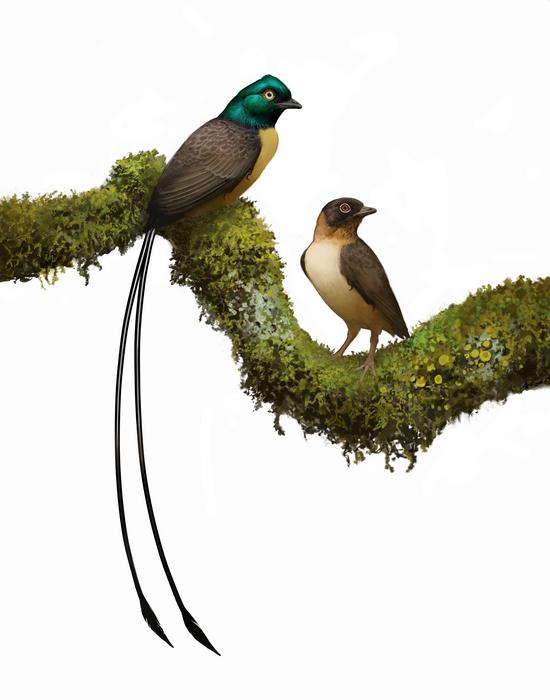 Life reconstruction