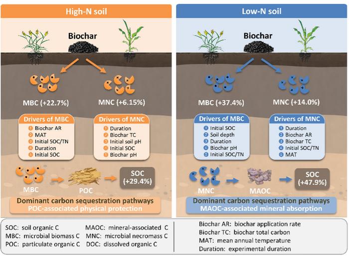Soil nitrogen level controls biochar's enhancement of microbial-derived carbon sequestration