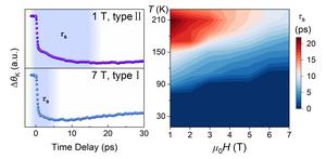 Scientists Uncover Magnetic-field Control of Ultrafast Spin Dynamics in 2D Ferromagnets