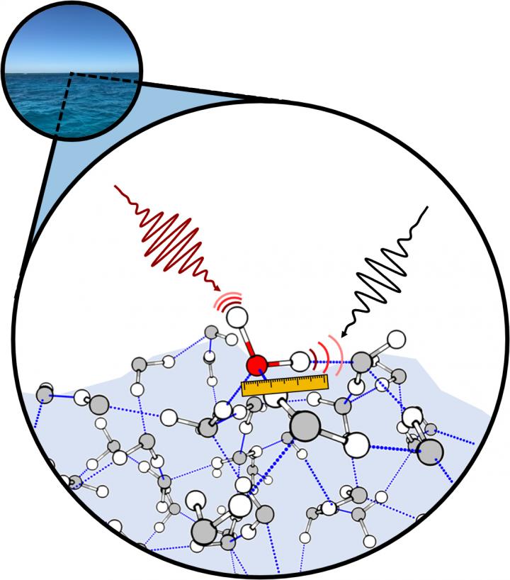 Searching for the Surface of Water Through a Single Molecule