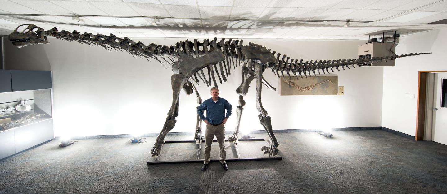<em>Moabosaurus</em>