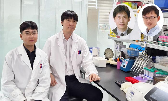 KAIST, Cancer Cell Nuclear Hypertrophy May Suppress Spread​