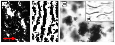 Nanotube Evolution