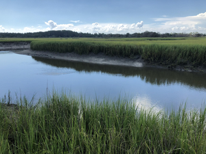 Sapelo Island, Georgia