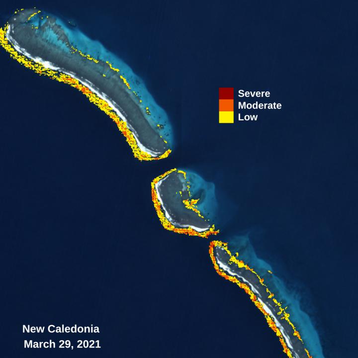 Allen Coral Atlas Monitoring System