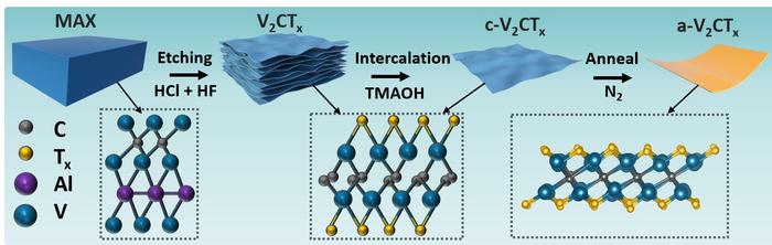 Schematic illustration of the amorphous V2CTx MXene synthesis process