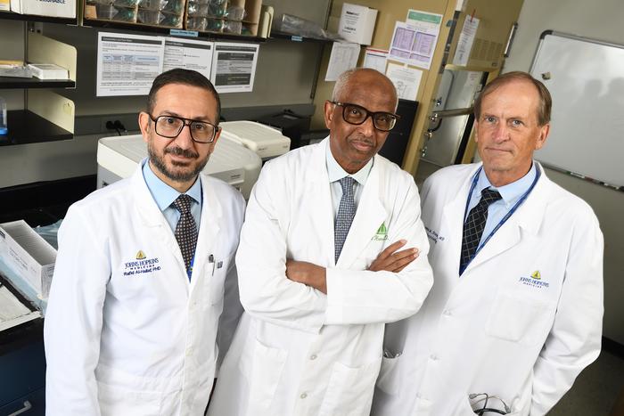 Investigators with the Hamad Laboratory at Johns Hopkins Medicine