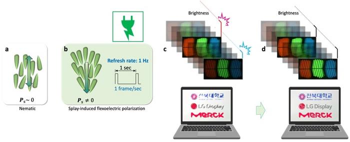 Schematic representation of molecular orientation and the low-frequency