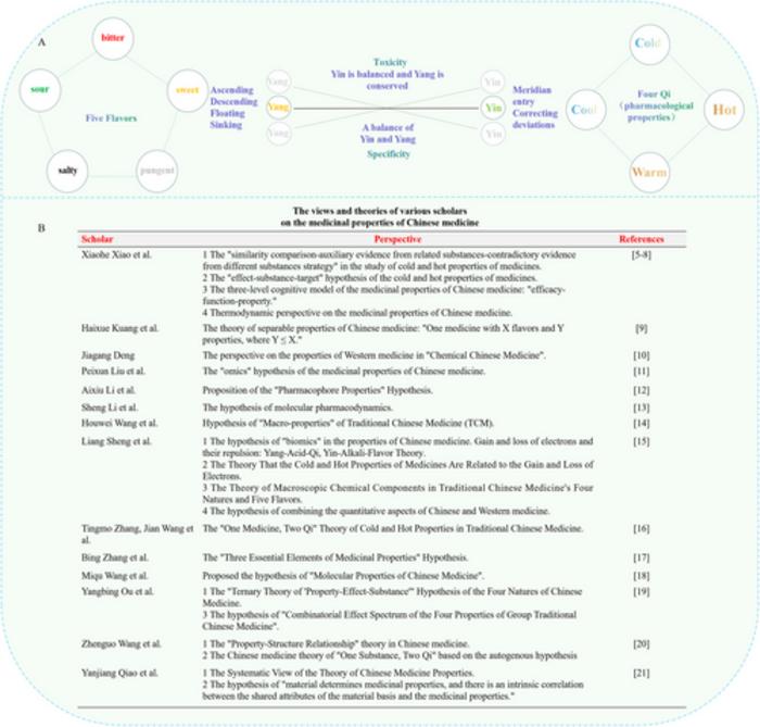 Theories and perspectives on the properties of traditional Chinese medicine