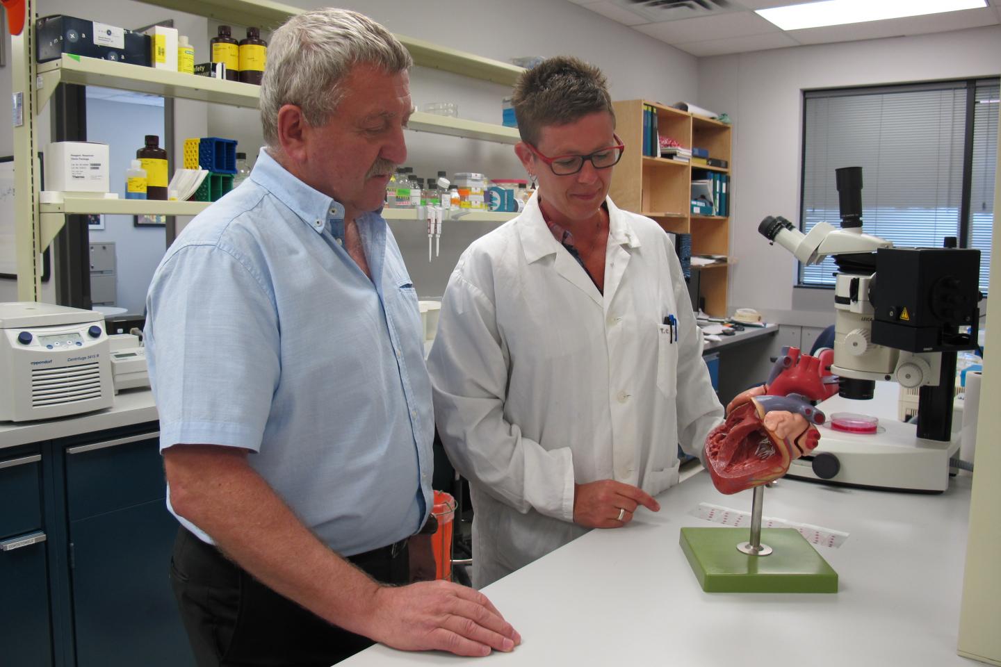 Canadian Discovery May Soon Lead to the Prevention of Cardiac Fibrosis