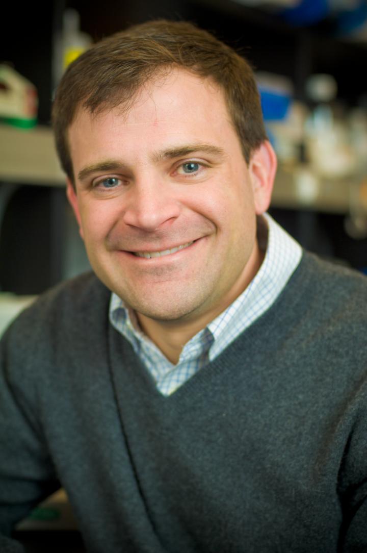 David Weinstock, M.D., Dana-Farber Cancer Institute