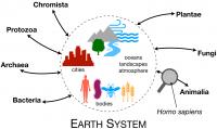 Multispecies sustainability and shared agency