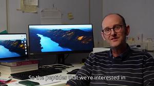 Prof Jody Mason explains stapled peptides
