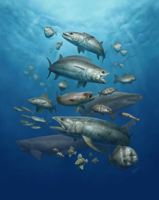 Reconstruction