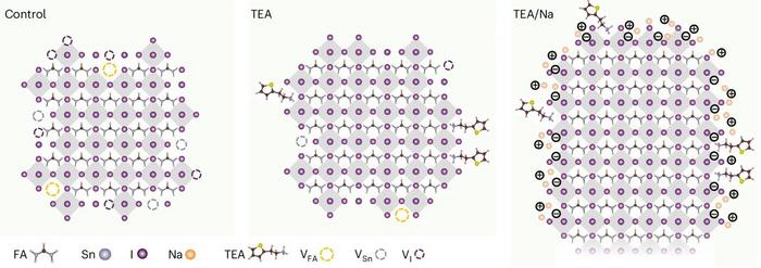 Computationally Guided Synthesis Creates High-Efficiency Tin Halide Perovskite Nanocrystals
