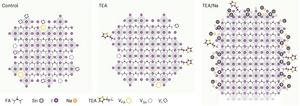 Computationally Guided Synthesis Creates High-Efficiency Tin Halide Perovskite Nanocrystals