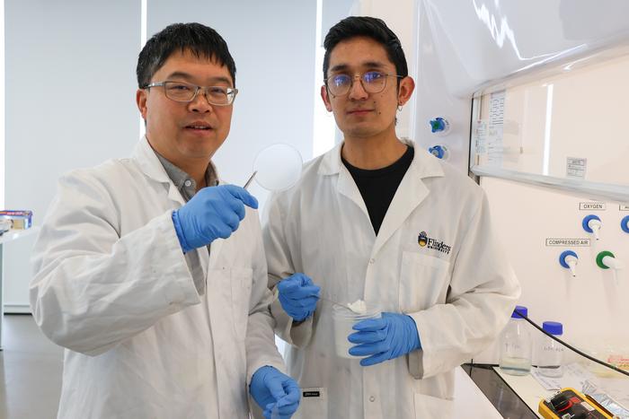 Nanomaterials researchers