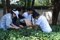 Kunming Institute Researchers