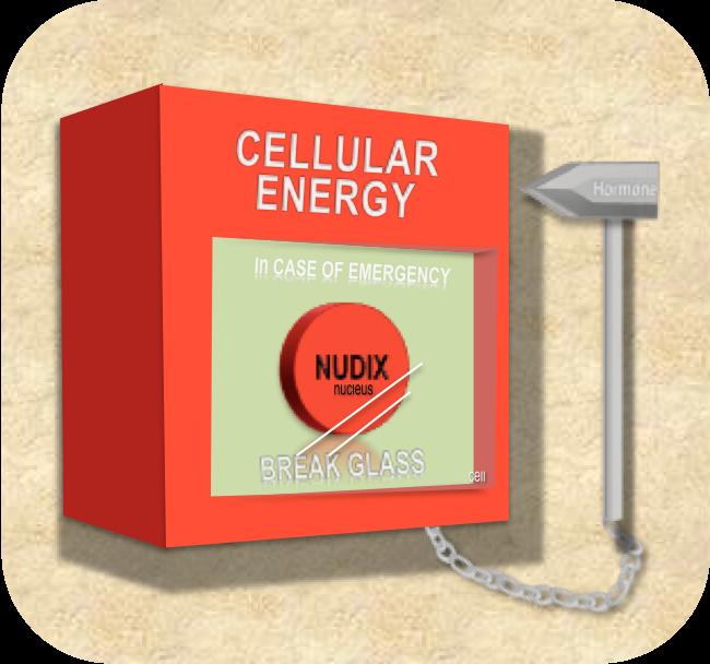 NUDIX Emergency kit
