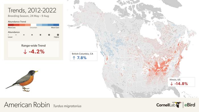 Population trends of American Robin