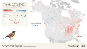 Population trends of American Robin