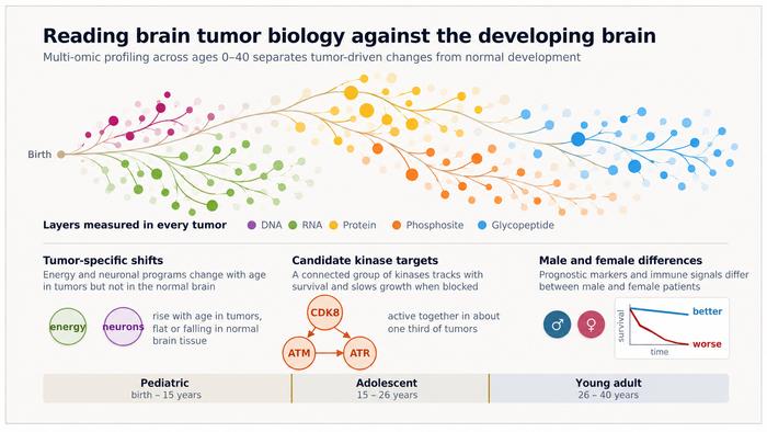 Proteogenomic profiling of high-grade glioma
