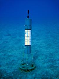 An Acoustic Data aLogger for Dolphins