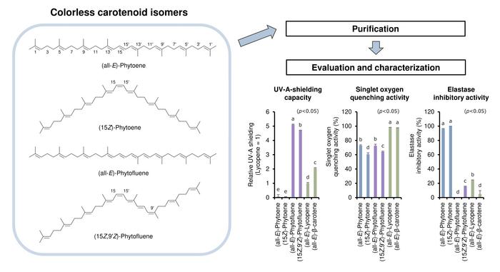 Purified colorless carotenoid isomers reveal unique biological functions