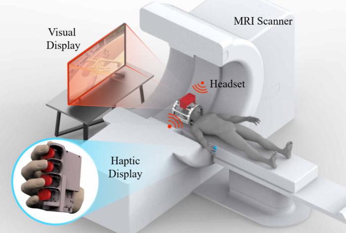 Schematic of the VR haptic feedback brain activity experiment