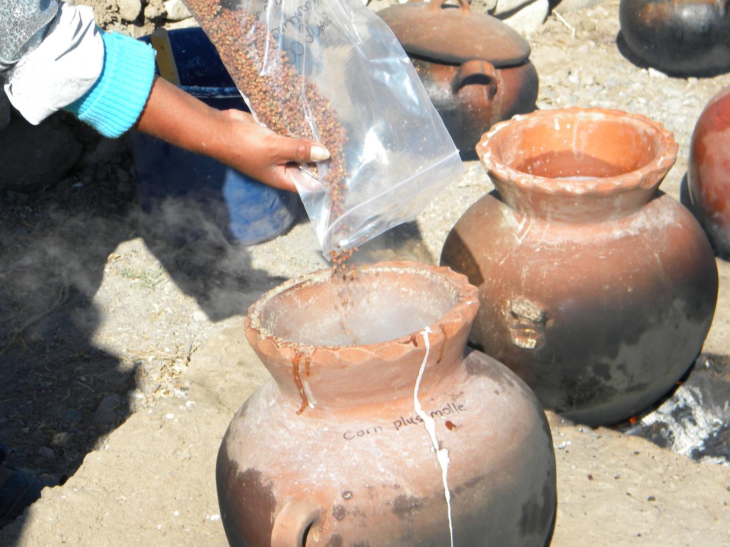 Recreating Ancient Beer