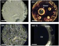 Interstellar Organic Matter Analog