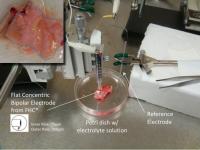 MEMS Sensors Probe Plaque