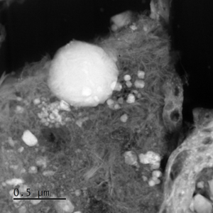 Ryugu serpentine and Fe oxide minerals