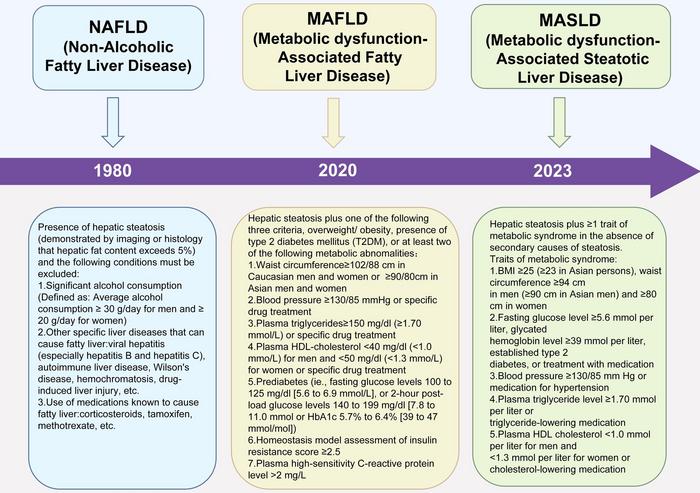 Metabolic Dysfunction-associated Steatotic Liver Disease and Chronic Kidney Disease: From Epidemiology and Pathophysiology to Clinical Prediction and Treatment Options