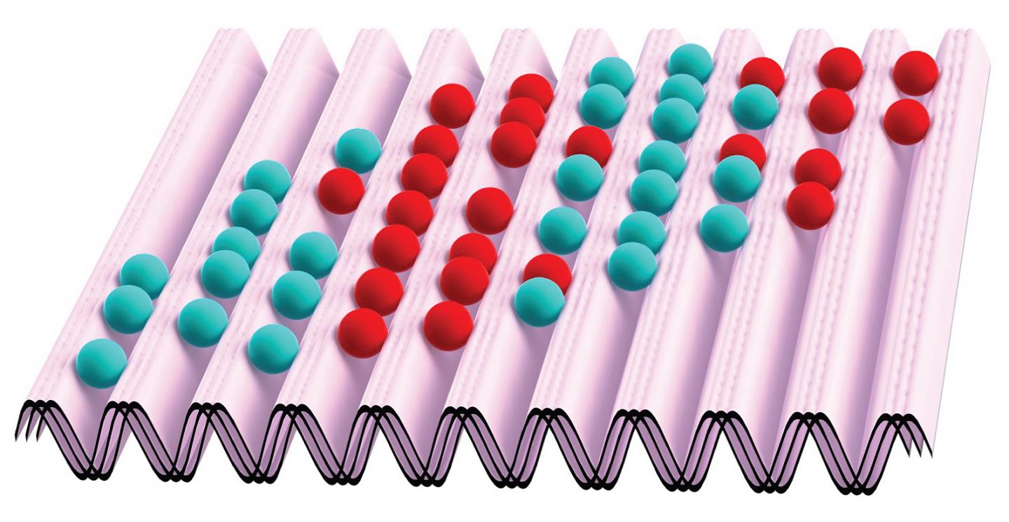 Phase Transition