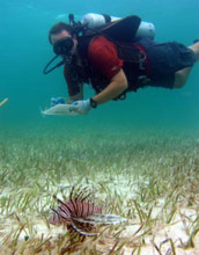 Mark A. Albins, NSF Graduate Research Fellow