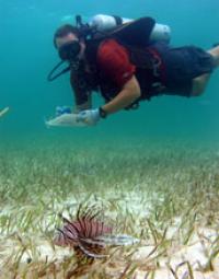 Mark A. Albins, NSF Graduate Research Fellow