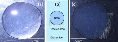 Silica Nanoparticles