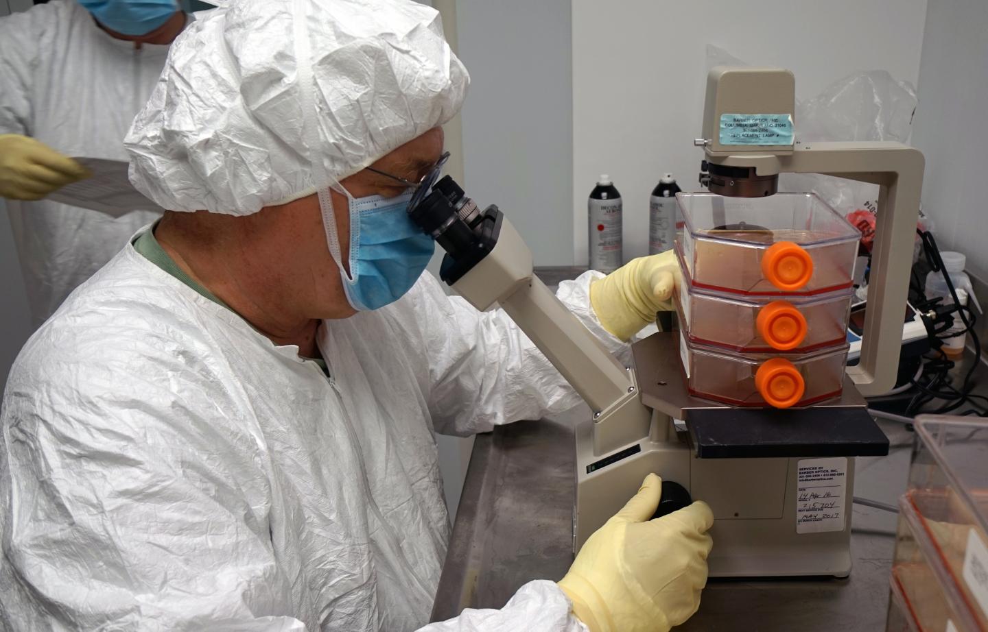 Creating a Zika Virus Vaccine