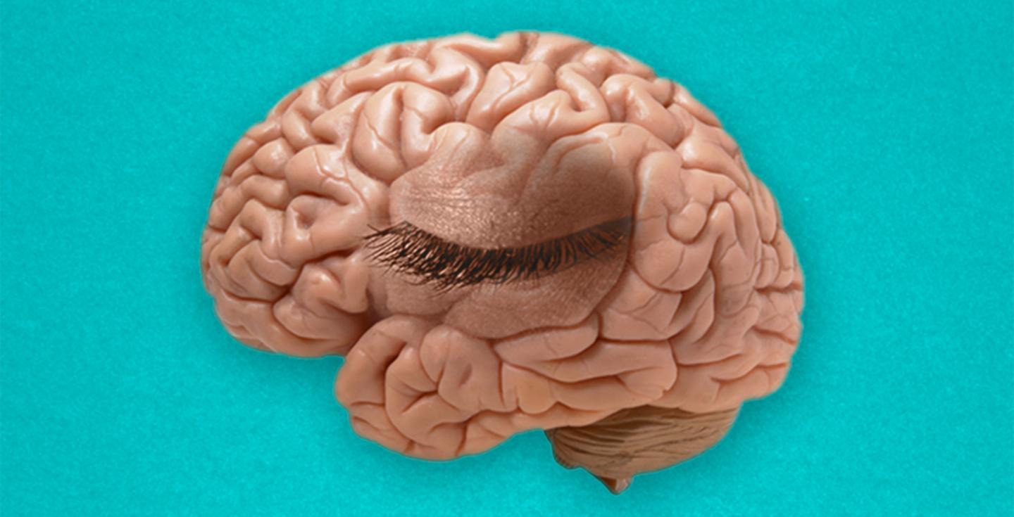 Mind's Eye Blink