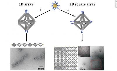 DNA Linked Nano Chains and Sheets