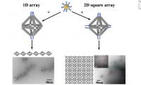 DNA Linked Nano Chains and Sheets