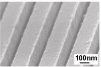 Scanning Electron Micrograph of HCG Mirror