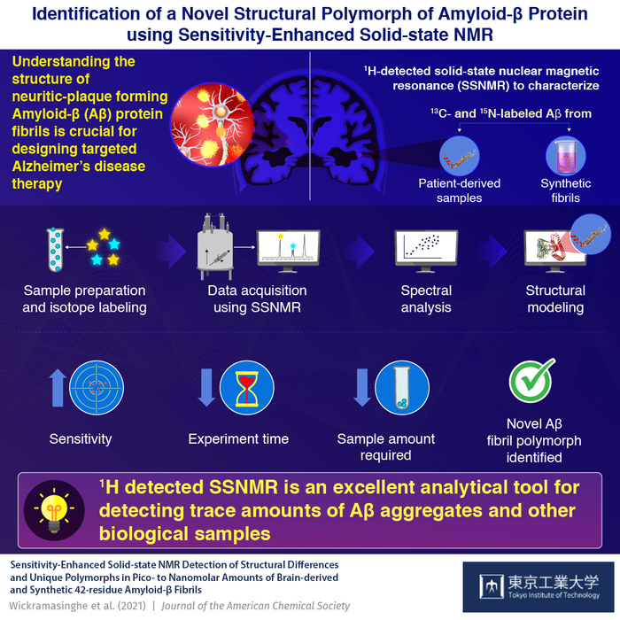 Identification of a Novel Structural Polymorph of Amyloid-β Protein using Sensitivity-Enhanced Solid-state NMR