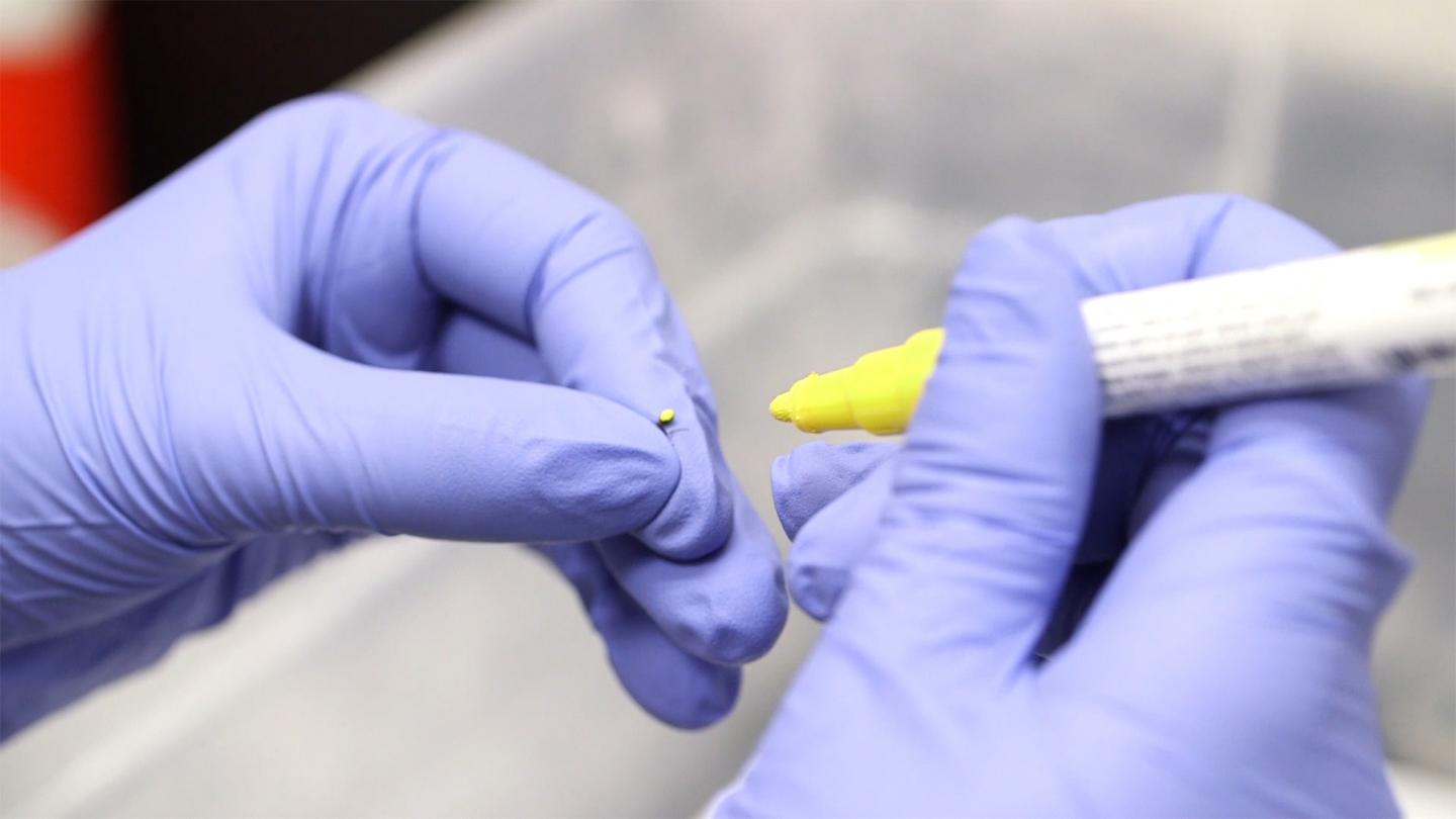 Collective Clog Control: What Ants Can Teach Us About Traffic Flow (1 of 9)